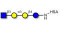 Isoglobotetraose (iGb4) analogue grafted on HSA - iGb4 analogue
