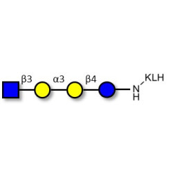 Isoglobotetraose (iGb4) analogue grafted on KLH