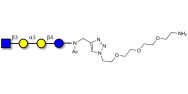 Isoglobotetraose (iGb4)...