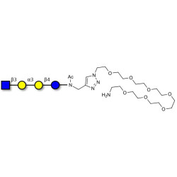 Isoglobotetraose (iGb4) analogue with free terminal amine (Linker-NH2 C)