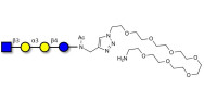 Isoglobotetraose (iGb4)...