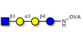 Isoglobotetraose (iGb4) analogue grafted on OVA - iGb4 analogue