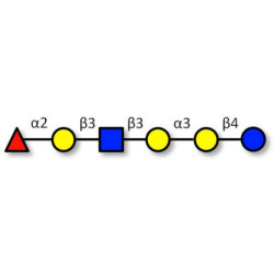 Isoglobo-H analogue type 1 (>90% NMR)