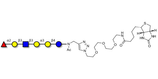 Isoglobo-H analogue type 1 linked to biotin (Linker-BT A)