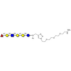 Isoglobo-H analogue type 1 grafted on gel for affinity chromatography (Linker-GEL A)