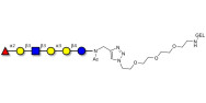 Isoglobo-H analogue type 1...