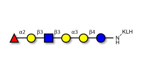 Isoglobo-H analogue type 1 grafted on KLH