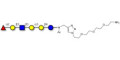 Isoglobo-H analogue type 1 with free terminal amine (Linker-NH2 B)