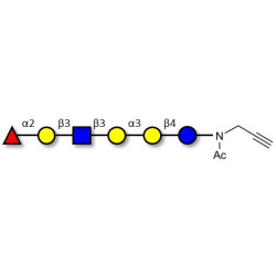 Isoglobo-H analogue type 1 with terminal alkyne (Linker-CΞCH A)