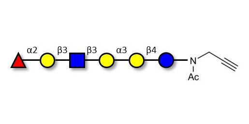 Isoglobo-H analogue type 1 with terminal alkyne (Linker-CΞCH A)