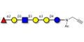 Isoglobo-H analogue type 1 with terminal alkyne (Linker-CΞCH A)