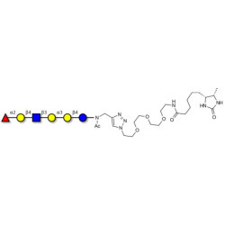 Isoglobo-H analogue type 2 linked to desthiobiotin (Linker-DBT-A)
