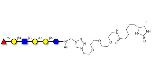 Isoglobo-H analogue type 2 linked to desthiobiotin (Linker-DBT-A)