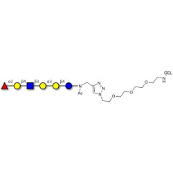 Isoglobo-H analogue type 2 grafted on gel for affinity chromatography (Linker-GEL A)