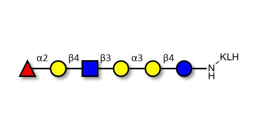 Isoglobo-H analogue type 2 grafted on KLH