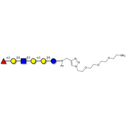 Isoglobo-H analogue type 2 with free terminal amine (Linker-NH2 B)