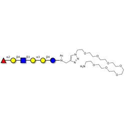 Isoglobo-H analogue type 2 with free terminal amine (Linker-NH2 C)