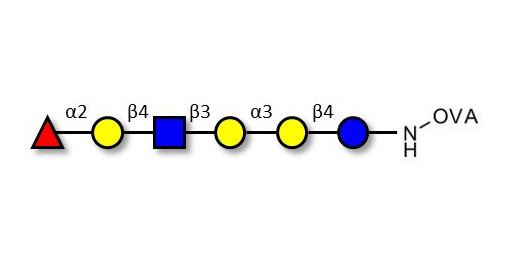 Isoglobo-H analogue type 2 grafted on OVA