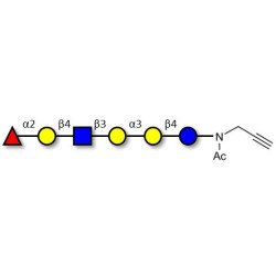 Isoglobo-H analogue type 2 with terminal alkyne (Linker-CΞCH A)