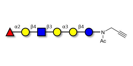 Isoglobo-H analogue type 2 with terminal alkyne (Linker-CΞCH A)