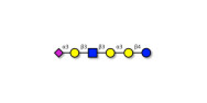 Sialylated isoglobopentaose...