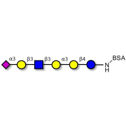 Sialylated isoglobopentaose (Sialylated iGb5) analogue type 1 grafted on BSA
