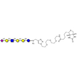 Sialylated isoglobopentaose (Sialylated iGb5) analogue type 1 linked to biotin (Linker-BT A)