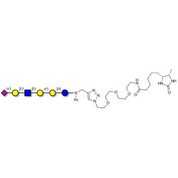 Sialylated isoglobopentaose (Sialylated iGb5) analogue type 1 linked to desthiobiotin (Linker-DBT-A)