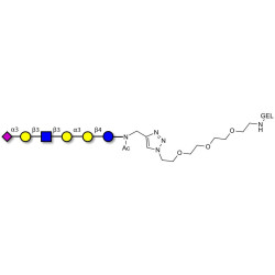 Sialylated isoglobopentaose (Sialylated iGb5) analogue type 1 grafted on gel for affinity chromatography (Linker-GEL A)