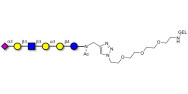 Sialylated isoglobopentaose...