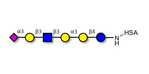 Sialylated isoglobopentaose (Sialylated iGb5) analogue type 1 grafted on HSA - Sialylated iGb5 analogue type 1