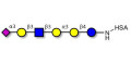 Sialylated isoglobopentaose (Sialylated iGb5) analogue type 1 grafted on HSA - Sialylated iGb5 analogue type 1