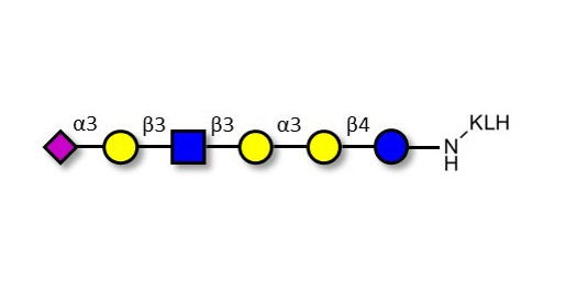 Sialylated isoglobopentaose (Sialylated iGb5) analogue type 1 grafted on KLH - Sialylated iGb5 analogue type 1