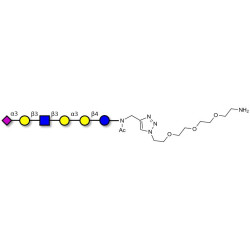 Sialylated isoglobopentaose (Sialylated iGb5) analogue type 1 with free terminal amine (Linker-NH2 B)