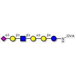 Sialylated isoglobopentaose (Sialylated iGb5) analogue type 1 grafted on OVA