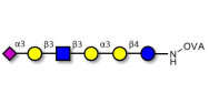 Sialylated isoglobopentaose...