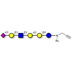 Sialylated isoglobopentaose (Sialylated iGb5) analogue type 1 with terminal alkyne (Linker-CΞCH A)