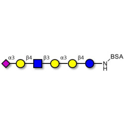 Sialylated isoglobopentaose (Sialylated iGb5) analogue type 2 grafted on BSA