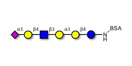 Sialylated isoglobopentaose (Sialylated iGb5) analogue type 2 grafted on BSA - Sialylated iGb5 analogue type 2