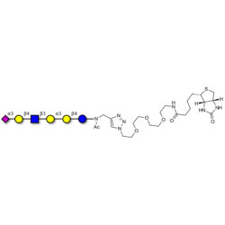 Sialylated isoglobopentaose (Sialylated iGb5) analogue type 2 linked to biotin (Linker-BT A)