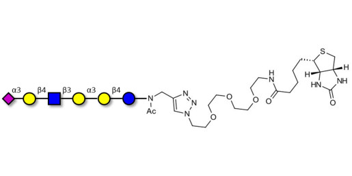 Sialylated isoglobopentaose (Sialylated iGb5) analogue type 2 linked to biotin (Linker-BT A) - Sialylated iGb5 analogue type 2