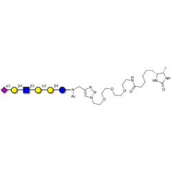 Sialylated isoglobopentaose (Sialylated iGb5) analogue type 2 linked to desthiobiotin (Linker-DBT-A)