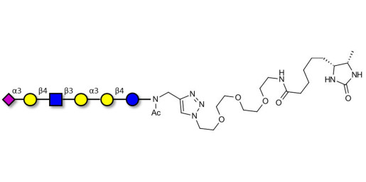 Sialylated isoglobopentaose (Sialylated iGb5) analogue type 2 linked to desthiobiotin (Linker-DBT-A) - Sialylated iGb5 analogue type 2