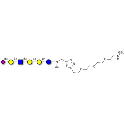Sialylated isoglobopentaose (Sialylated iGb5) analogue type 2 grafted on gel for affinity chromatography (Linker-GEL A)