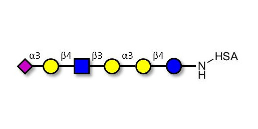 Sialylated isoglobopentaose (Sialylated iGb5) analogue type 2 grafted on HSA - Sialylated iGb5 analogue type 2