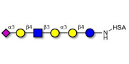 Sialylated isoglobopentaose...