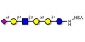 Sialylated isoglobopentaose (Sialylated iGb5) analogue type 2 grafted on HSA - Sialylated iGb5 analogue type 2