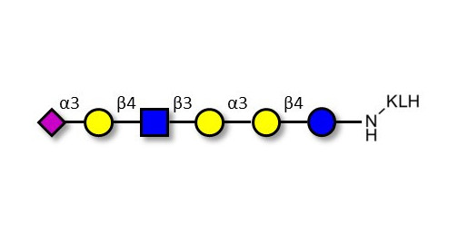 Sialylated isoglobopentaose (Sialylated iGb5) analogue type 2 grafted on KLH - Sialylated iGb5 analogue type 2
