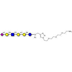 Sialylated isoglobopentaose (Sialylated iGb5) analogue type 2 with free terminal amine (Linker-NH2 B)