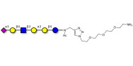 Sialylated isoglobopentaose...